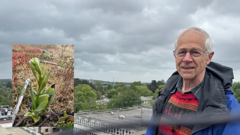 Oxford Brookes University, Oxford