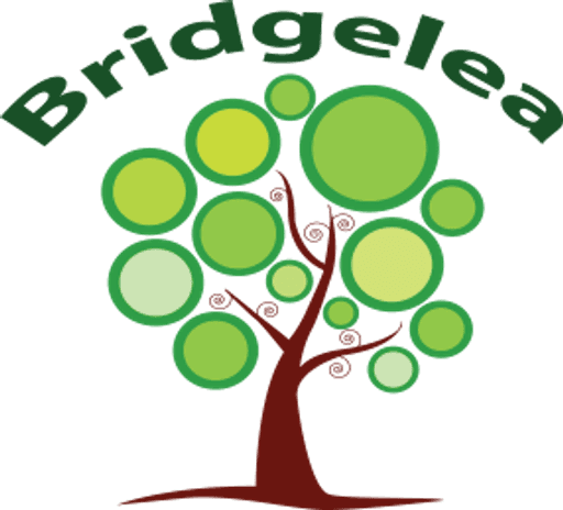 Bridgelea Pupil Referral Unit logo