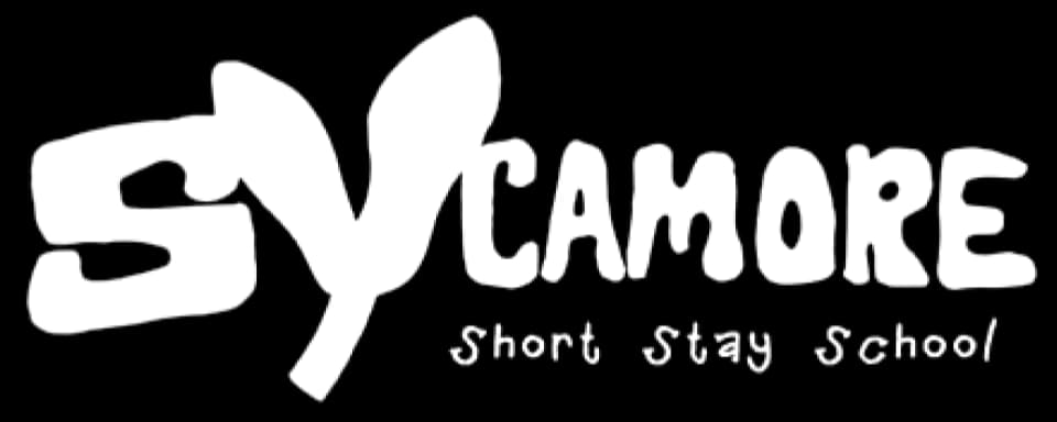Sycamore Short Stay School, Dudley