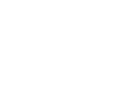 The Belvedere Academy logo