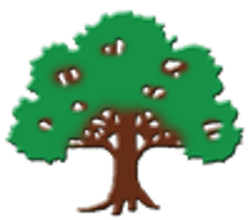 Lightmoor Village Primary School logo