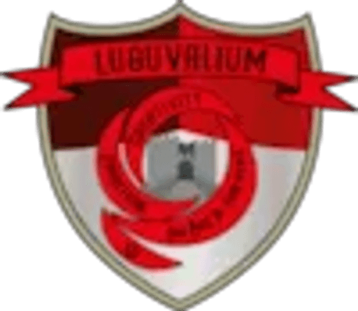 Richard Rose Morton Academy logo