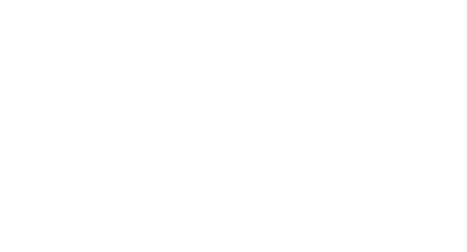 Skinners' Kent Academy logo