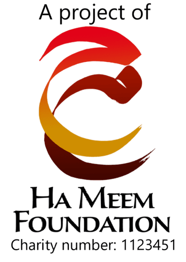 Lady Nafisa School logo