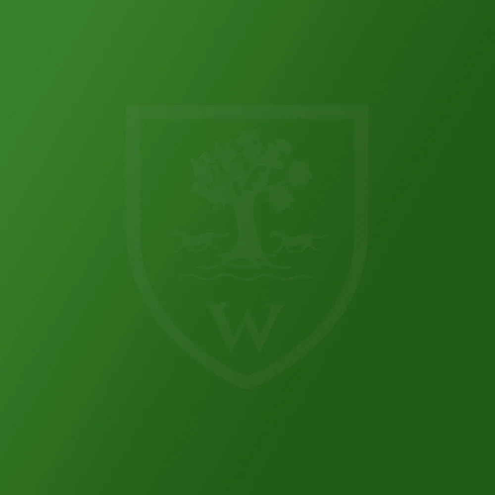 Woodrush High School, Wythall