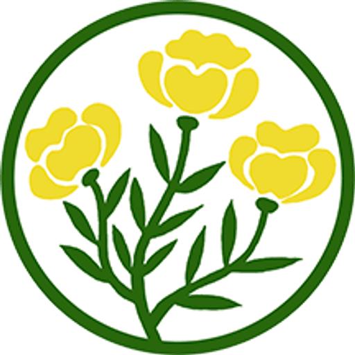 Summercroft Primary School logo