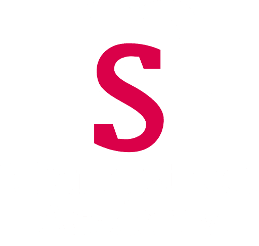 Mount Street Academy logo