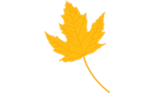The Maplesden Noakes School logo