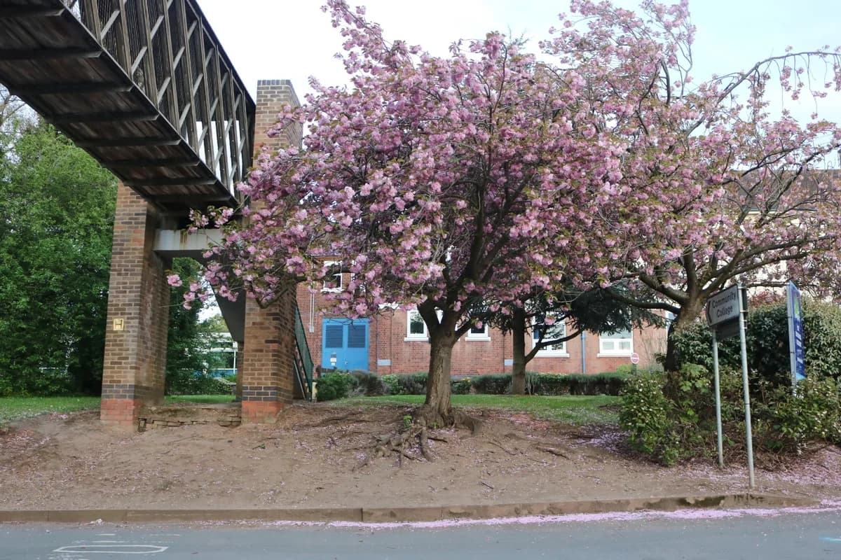 The Roundhill Academy, Leicester