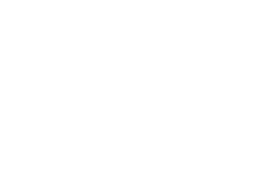 London Academy of Excellence logo