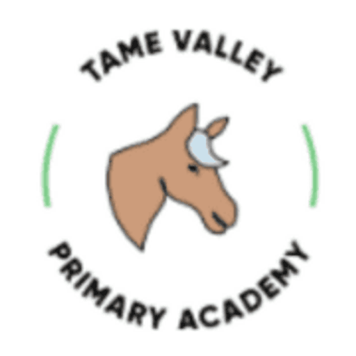 Tame Valley Academy logo
