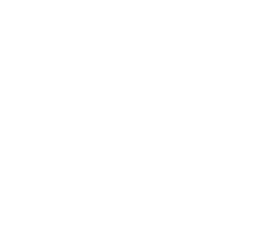 King David Primary School logo