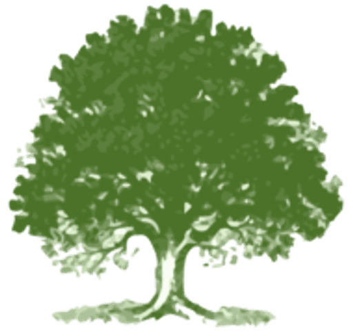 Hamstreet Primary Academy logo
