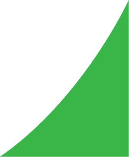 Nelson Academy logo