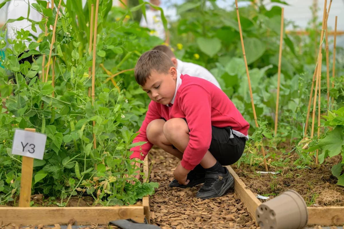 Laceby Acres Primary Academy, Grimsby