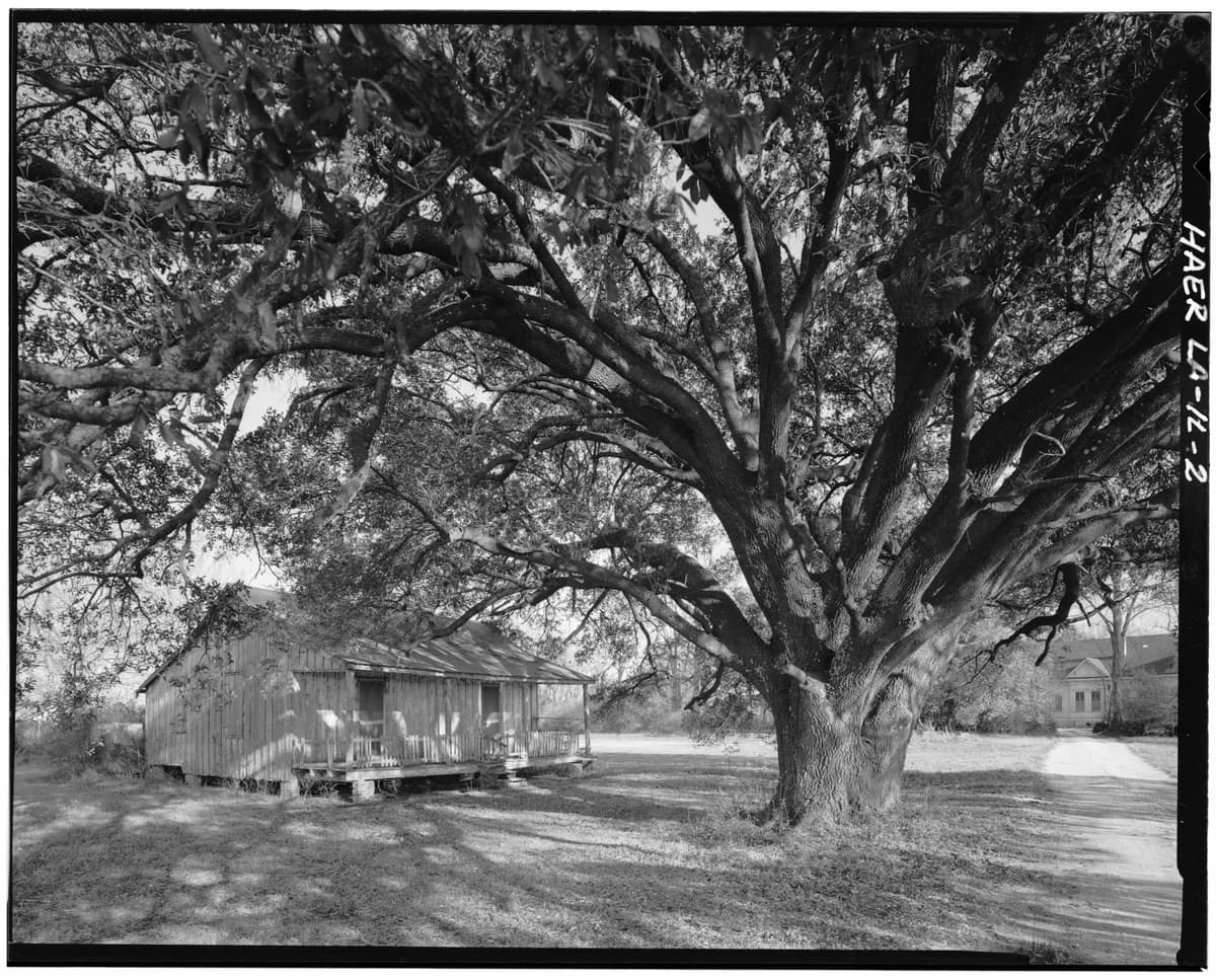 Oak Tree School, Truro