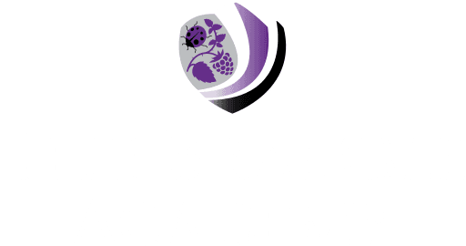 The Bramble Academy logo