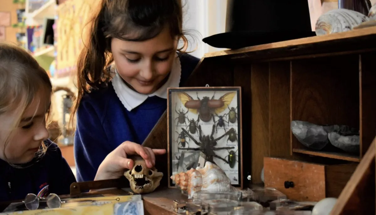 Tintagel Primary School, Tintagel