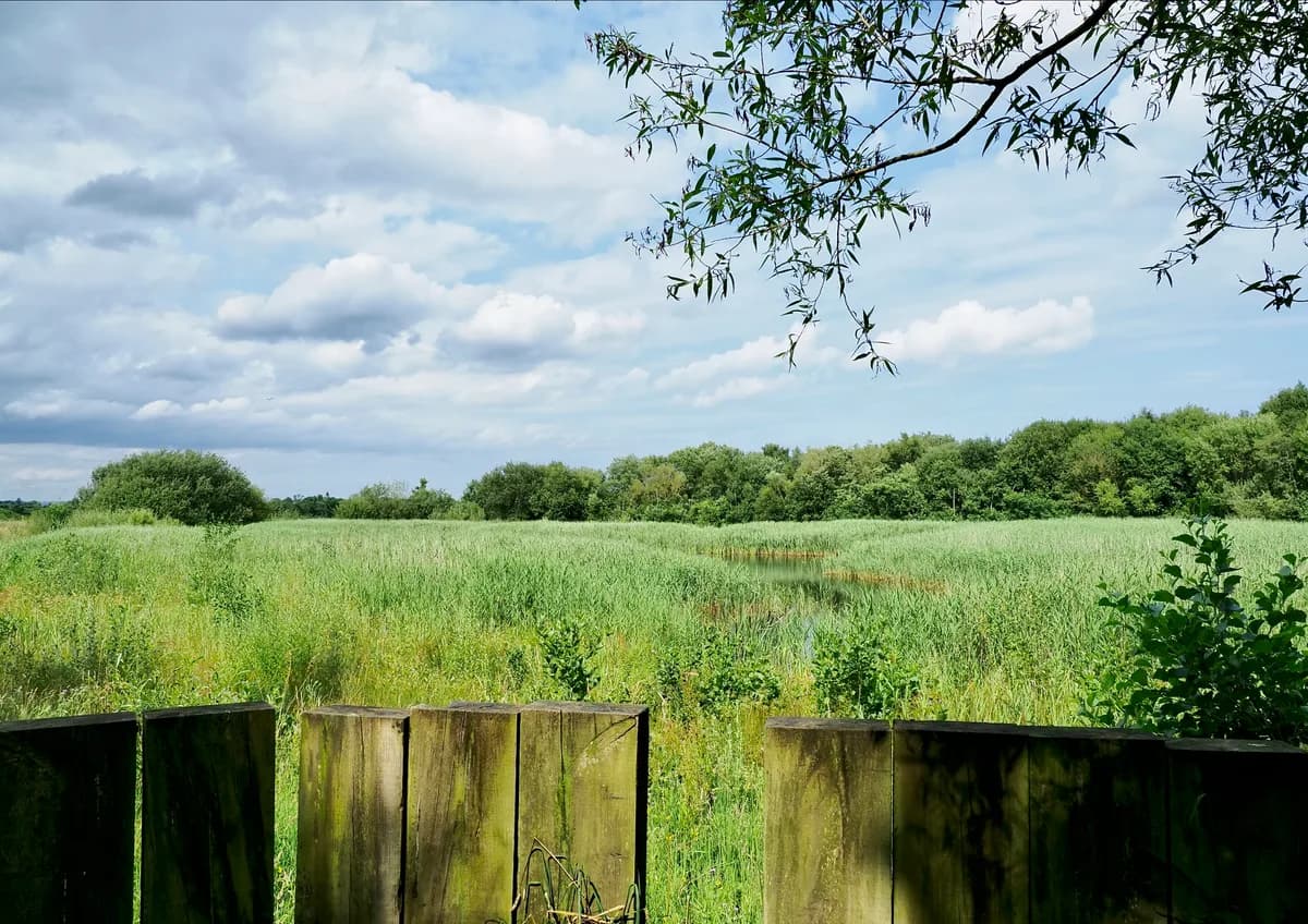 Pond Meadow School, Guildford