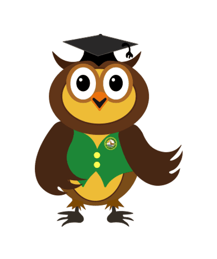 Sawley Junior School logo