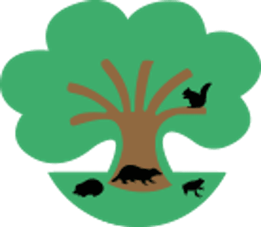 Hayeswood First School logo