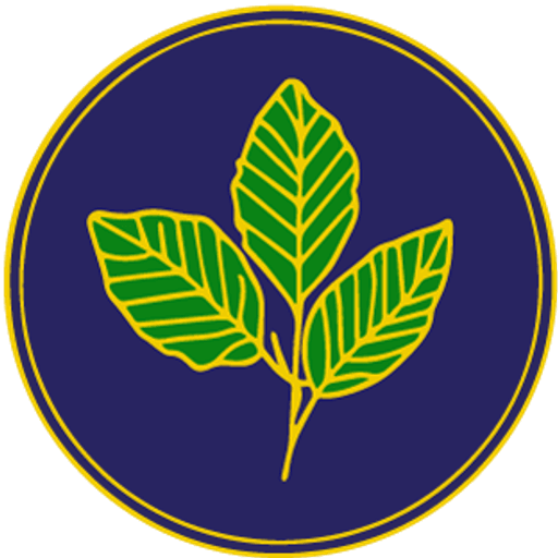The Beeches Community Primary School logo