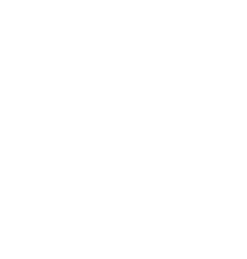 Camulos Academy logo