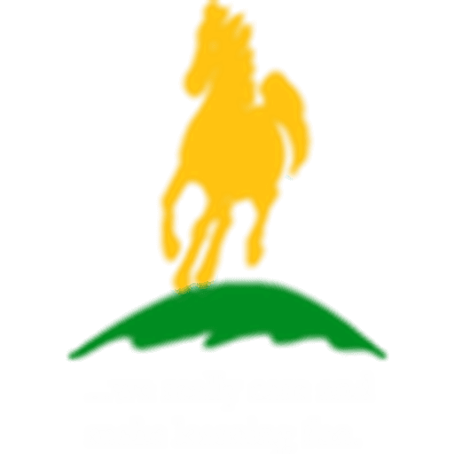 Stottesdon CofE Primary School logo