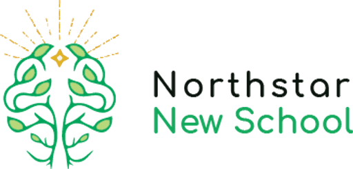 Northstar New School logo