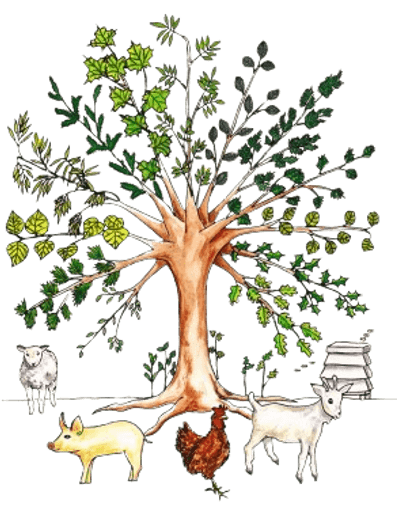 Edwalton Primary School logo