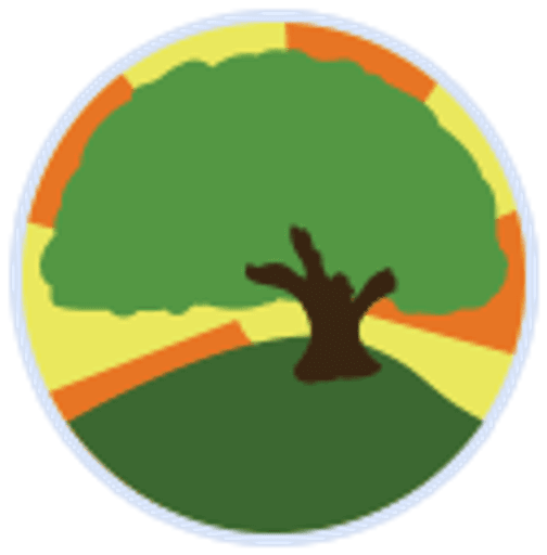 Spring Common Academy logo