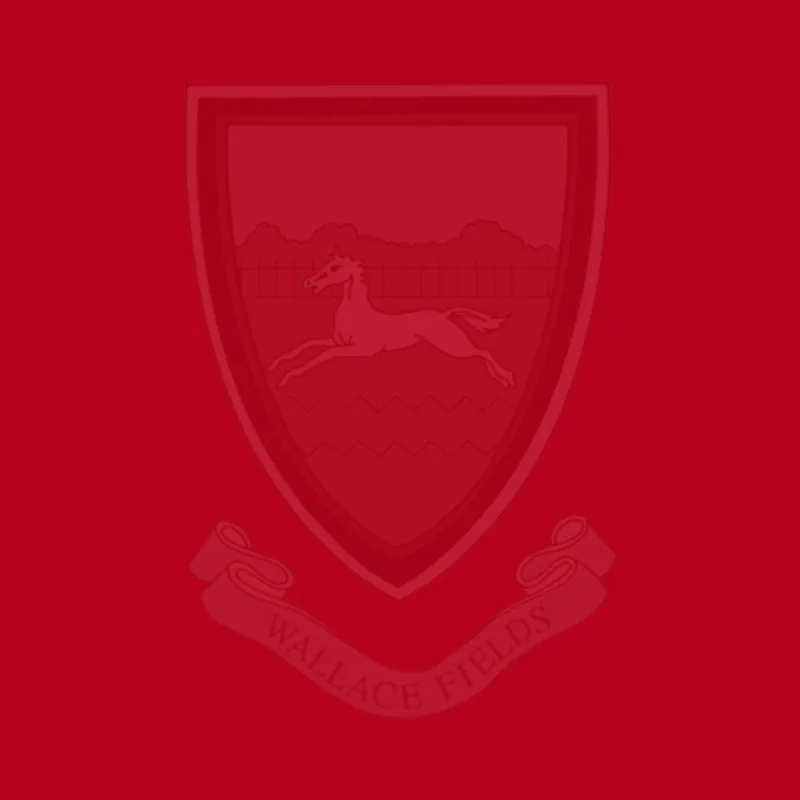Wallace Fields Infant School and Nursery, Epsom