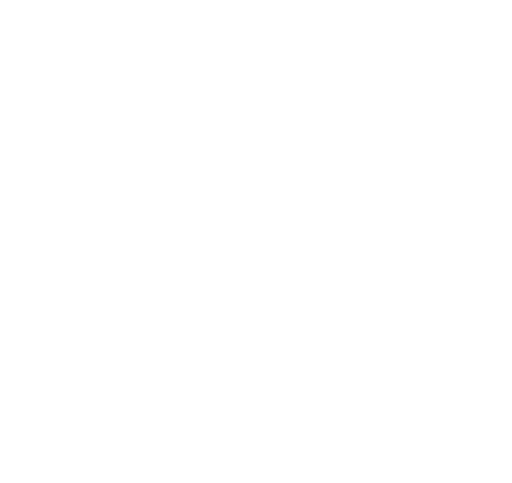 Conway Primary School logo