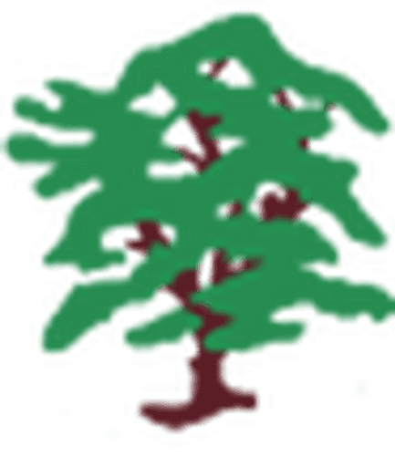 Skelmanthorpe Academy logo