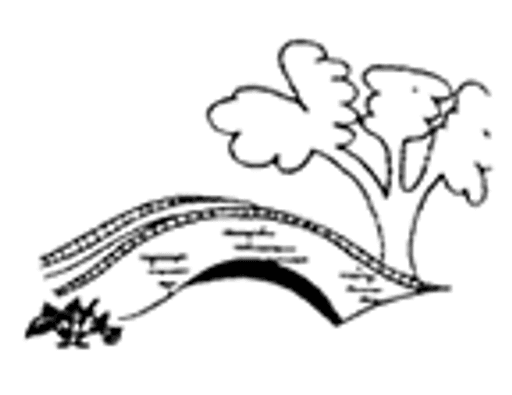 Whixall CofE Primary School logo