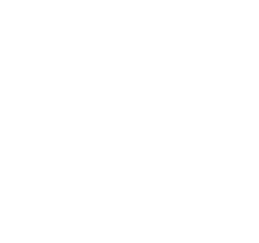 Hampton High logo