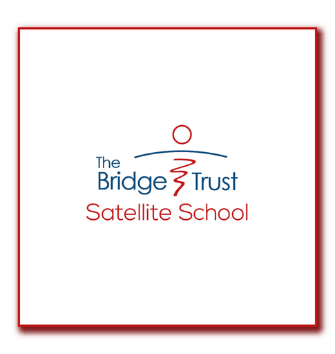 The Bridge Satellite Provision logo