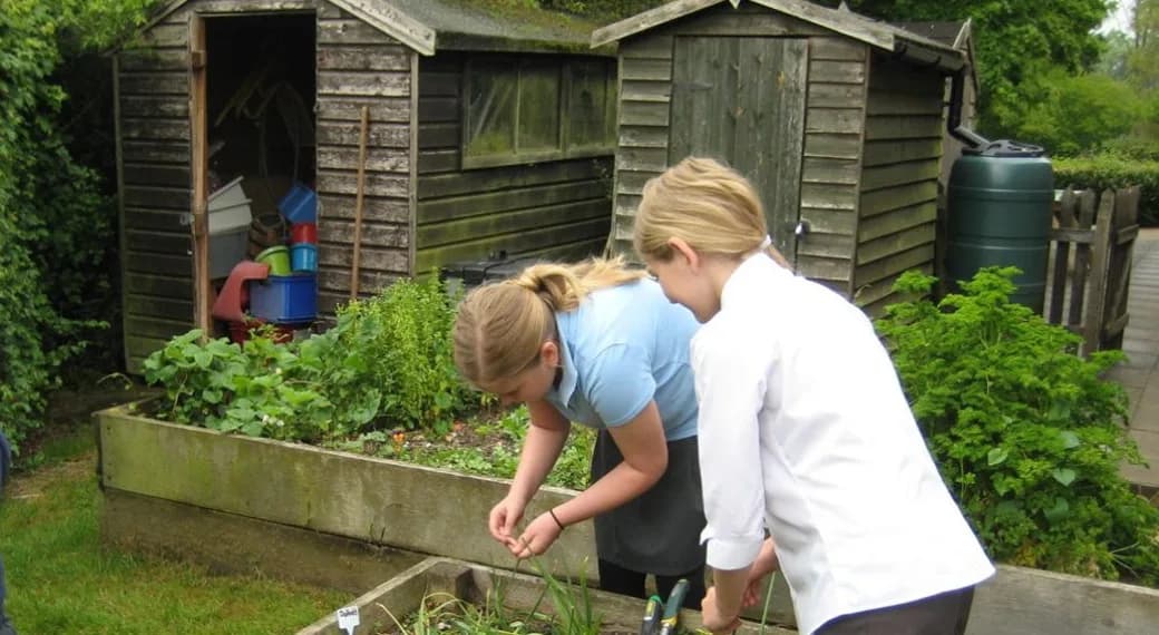 Aslacton Primary School, Norwich