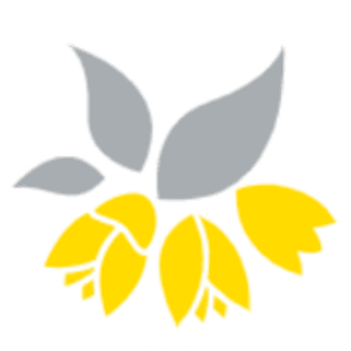 Kassia Academy and Support Services logo