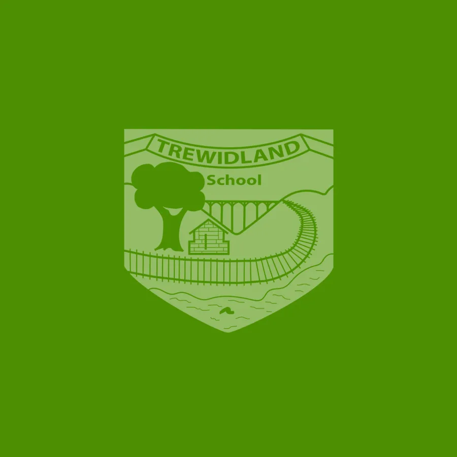 Trewidland Primary School, Liskeard