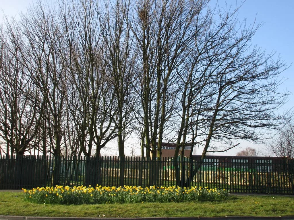 Pennine View School, Doncaster