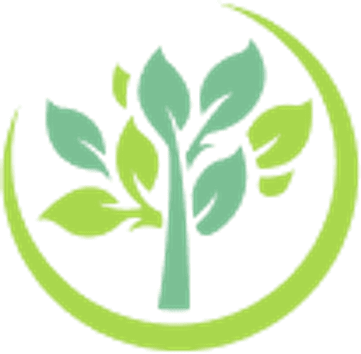St John's CofE School logo