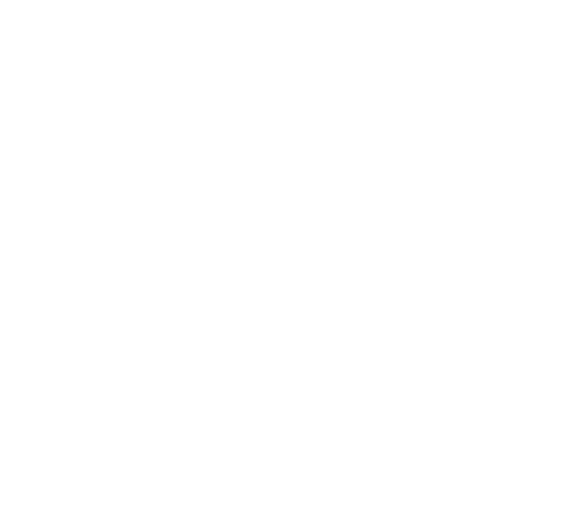 Ferryhill School logo