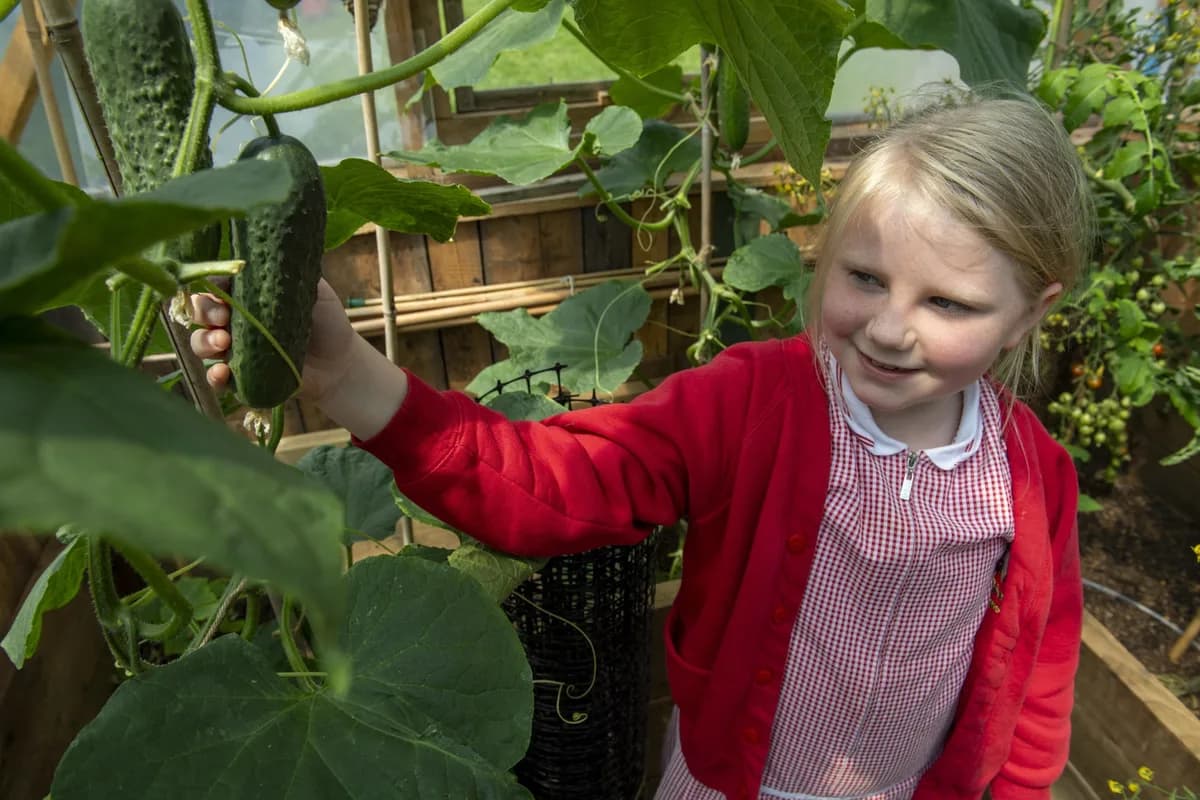 Casterton Primary Academy, Burnley