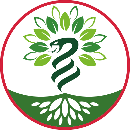 The Python Hill Academy logo