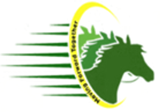 West Midlands Education and Skills logo