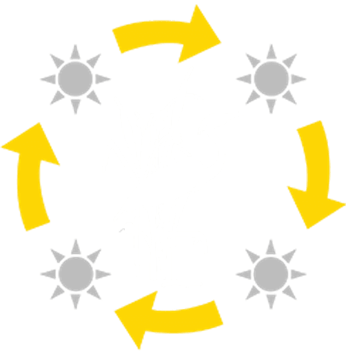 New York Primary School logo