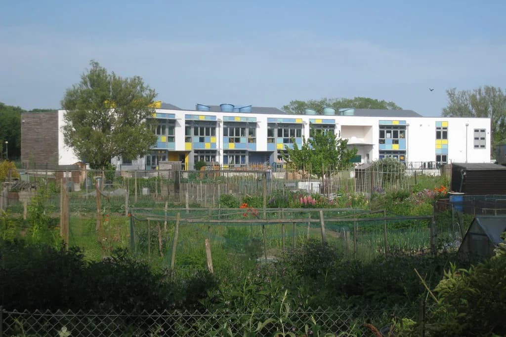 Rye Community Primary School, Rye