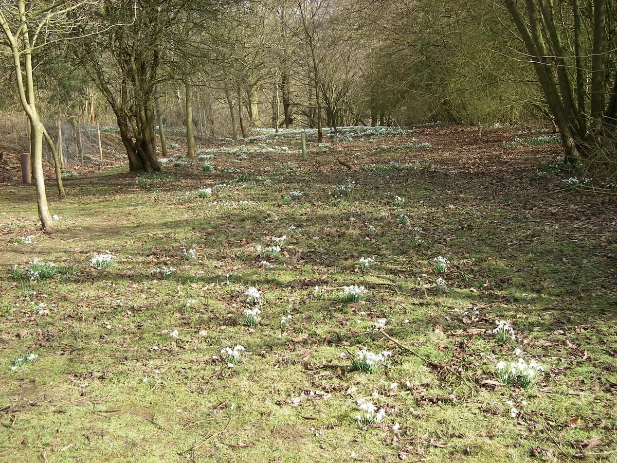 GLADE School, Hampshire