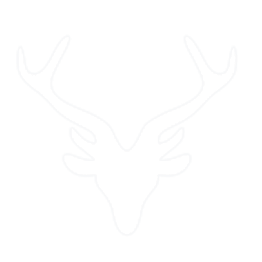 North Molton Primary School logo